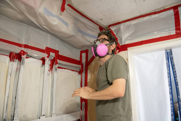 Best Emergency Mold Remediation  in Keenesburg, CO